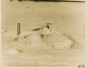 Image: Snow house at Bowdoin Harbor